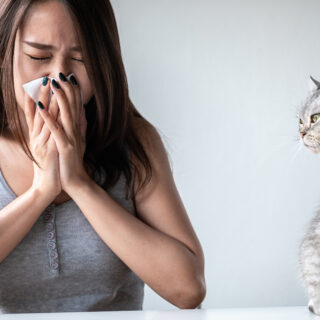 Infeksi Saluran Pernafasan Atas