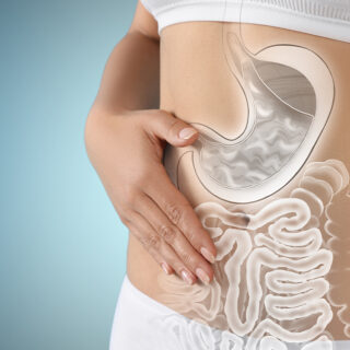 Sistem Pencernaan Manusia