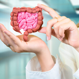 Berapa Panjang Usus Halus Orang Dewasa