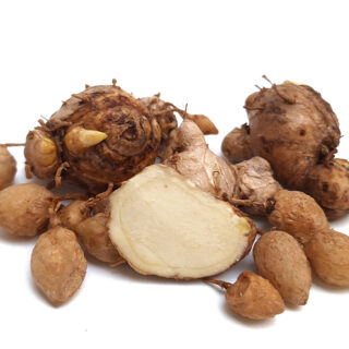 Manfaat Kunyit Putih