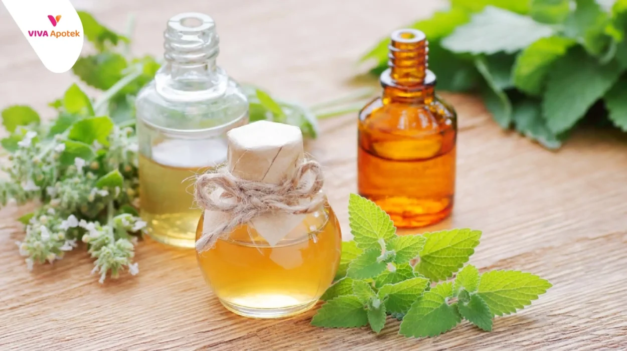 Minyak Angin di Apotek