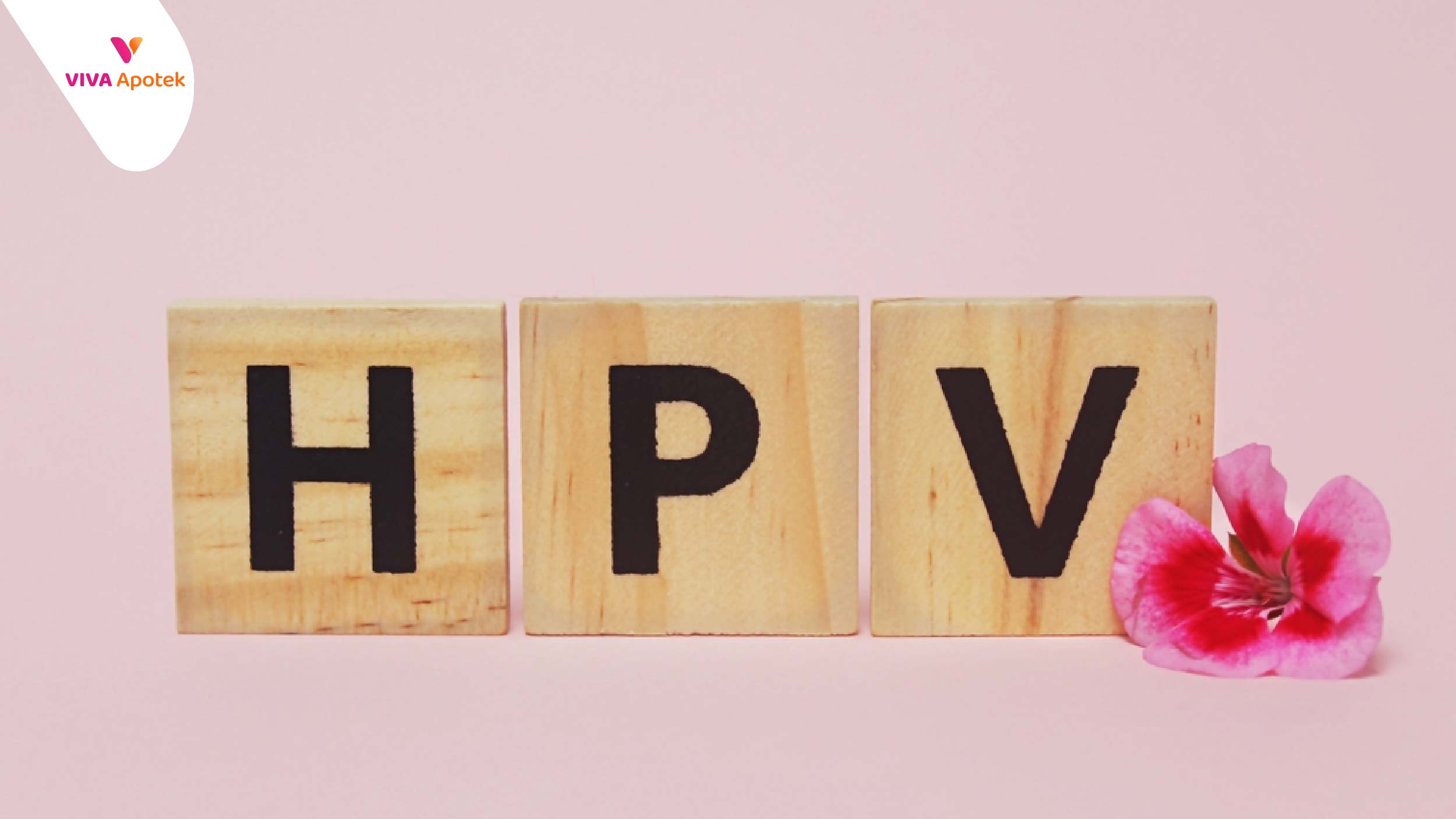 hpv adalah
