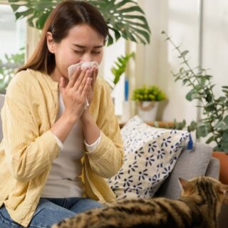 Obat Anti Alergi di Apotek