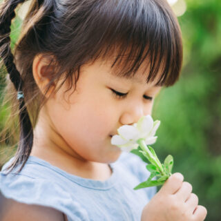 manfaat minyak aromaterapi untuk anak