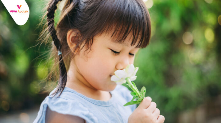 manfaat minyak aromaterapi untuk anak