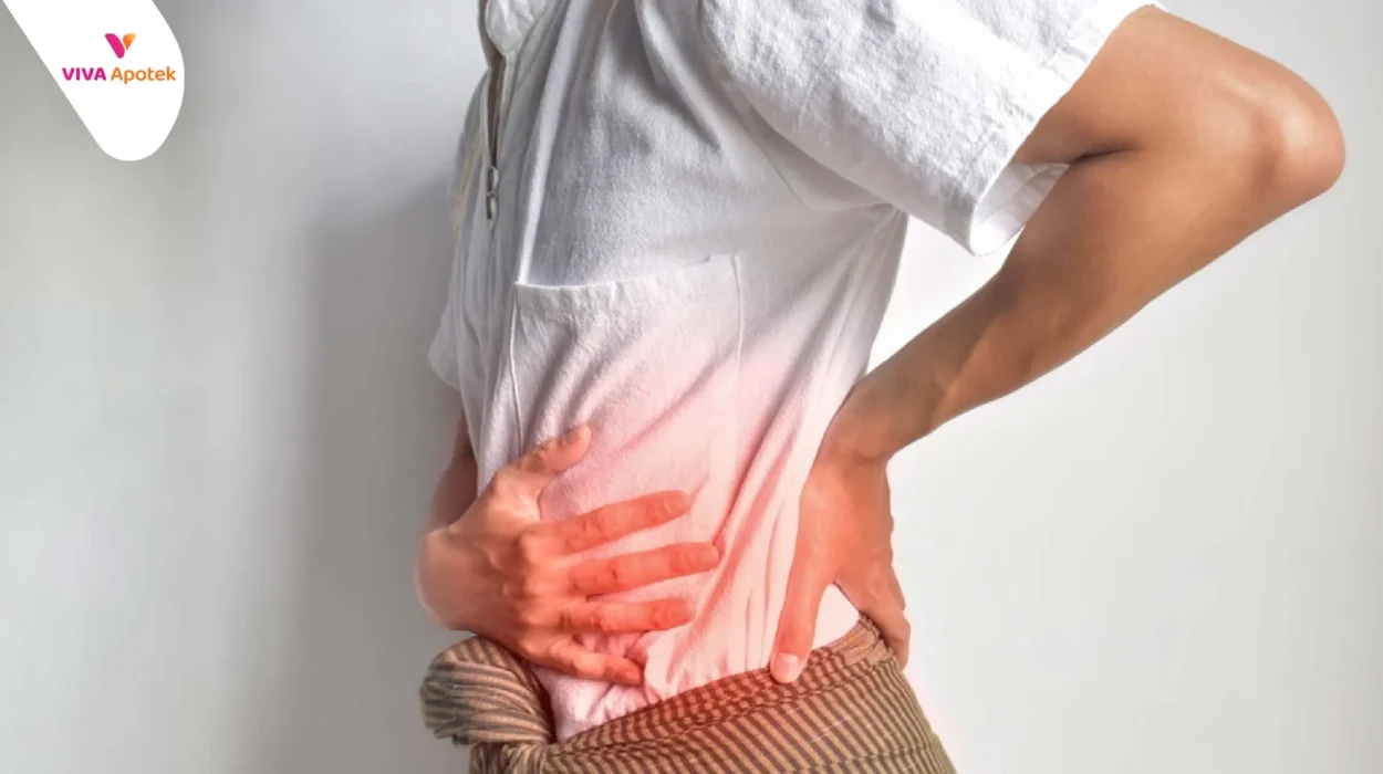 daftar dan harga obat penghancur batu ginjal di apotek
