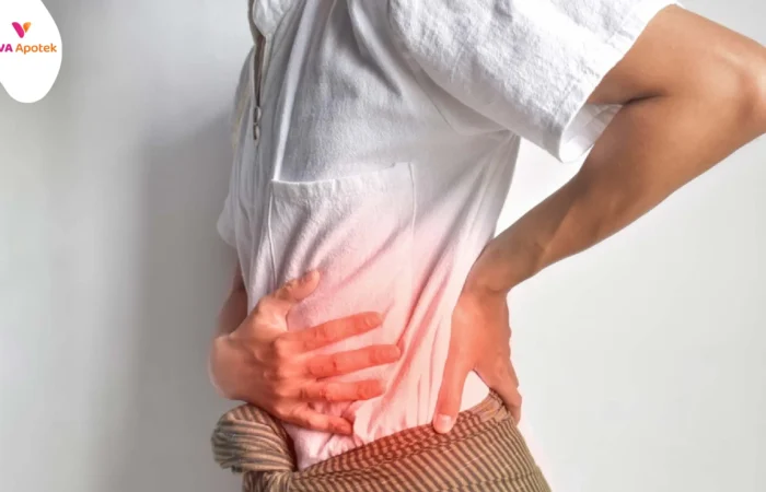 daftar dan harga obat penghancur batu ginjal di apotek